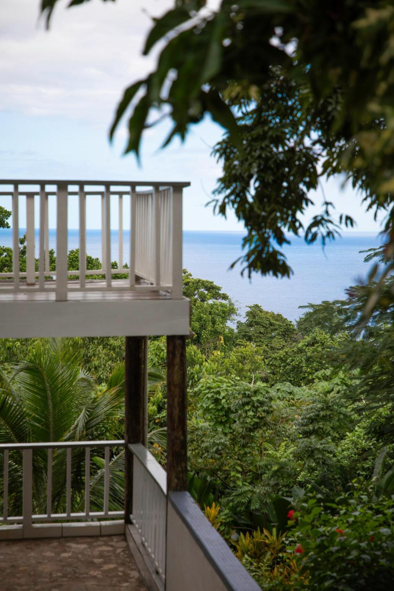 Lf Jungle Retreat Hotel Drapers ภายนอก รูปภาพ